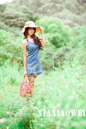 雍正王朝电视剧全集56集完整版