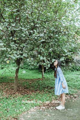 浪浪山小妖怪免费观看完整版高清