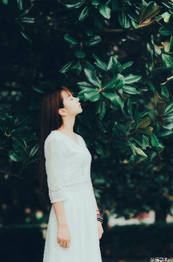 斗罗大陆2绝世唐门